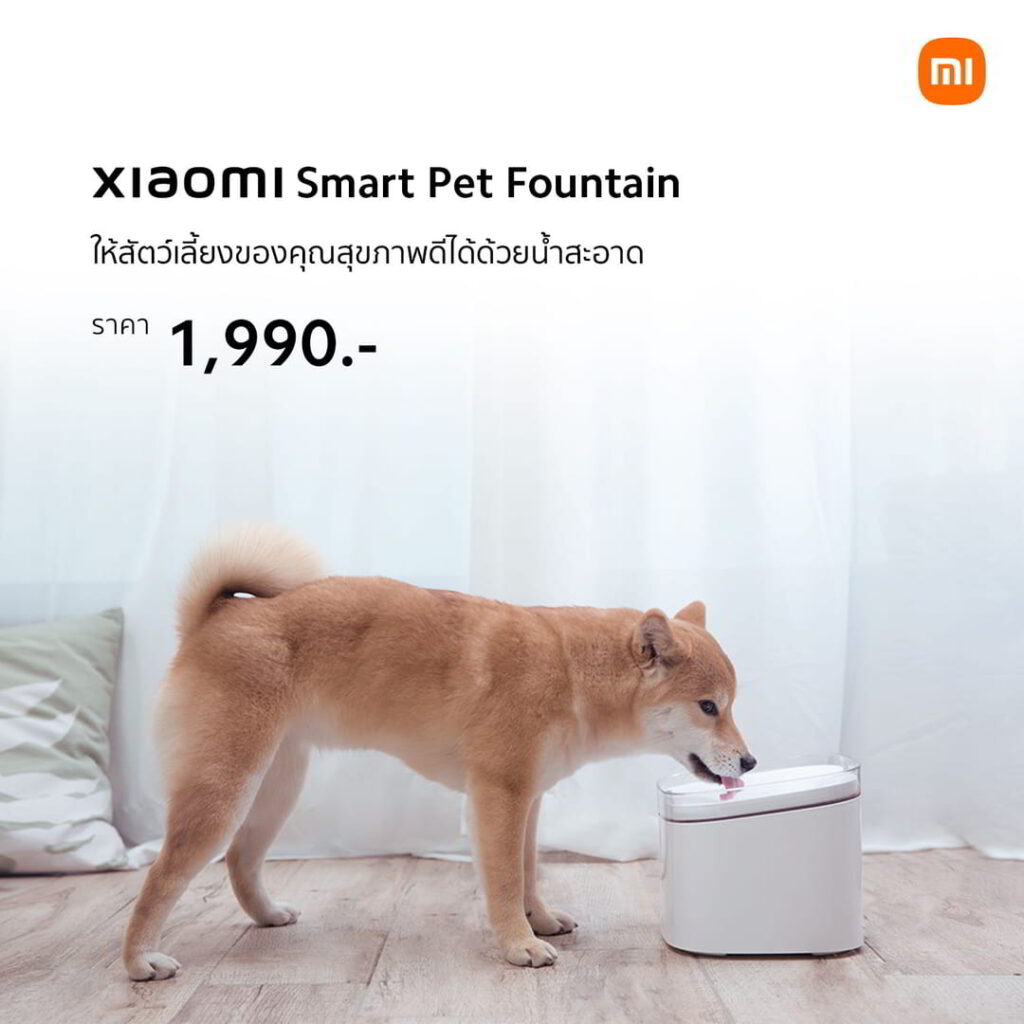 Xiaomi