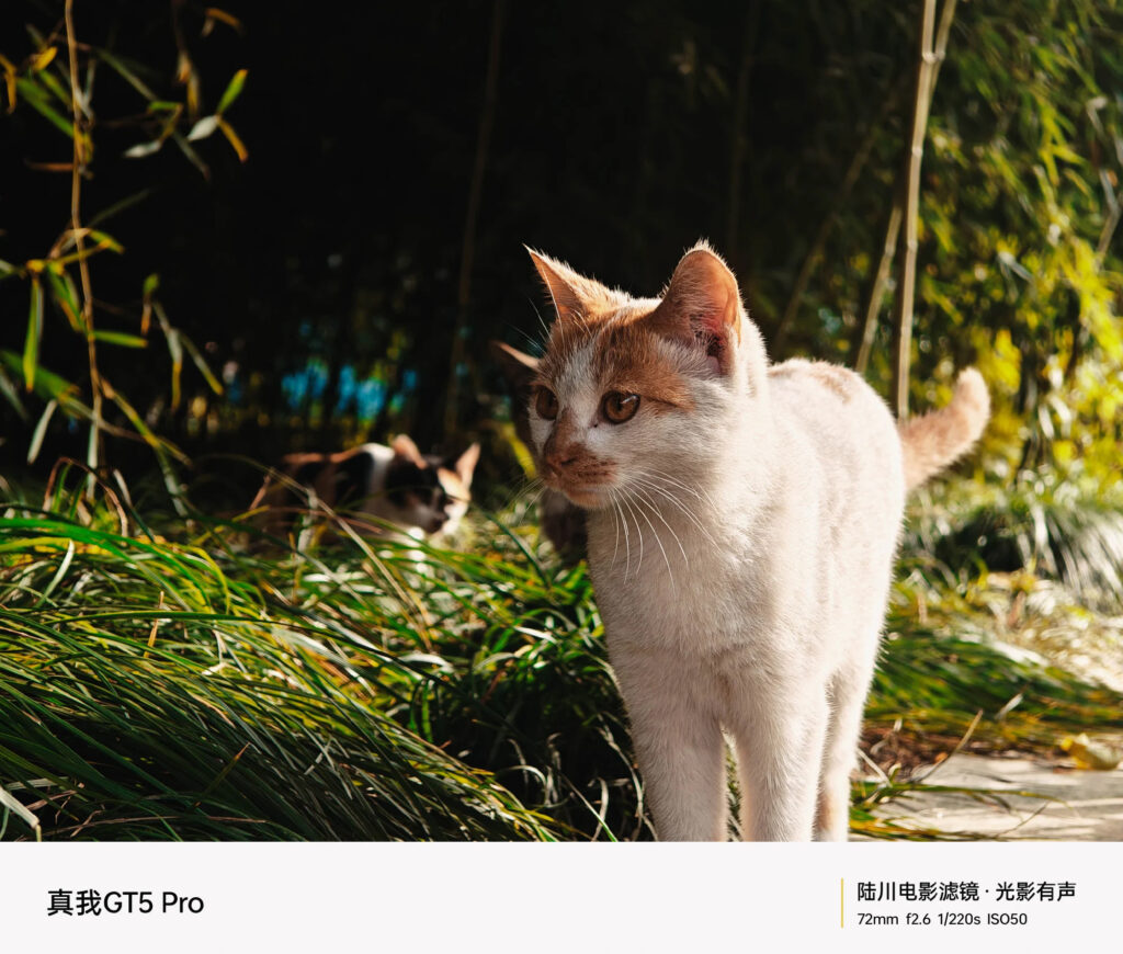 realme GT5 Pro